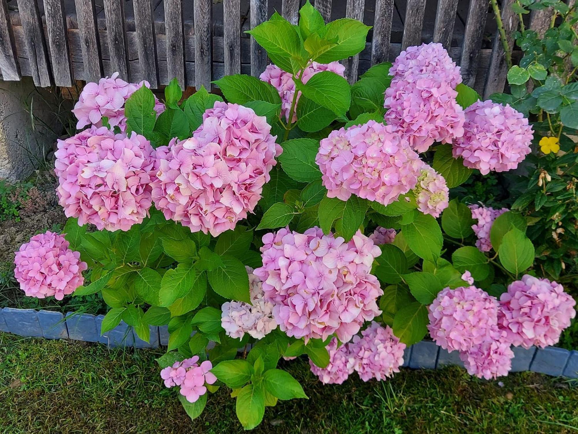 Kuca Za Odmor Mazuran Villa Karlovac Dış mekan fotoğraf