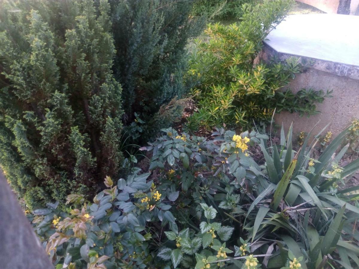 Kuca Za Odmor Mazuran Villa Karlovac Dış mekan fotoğraf