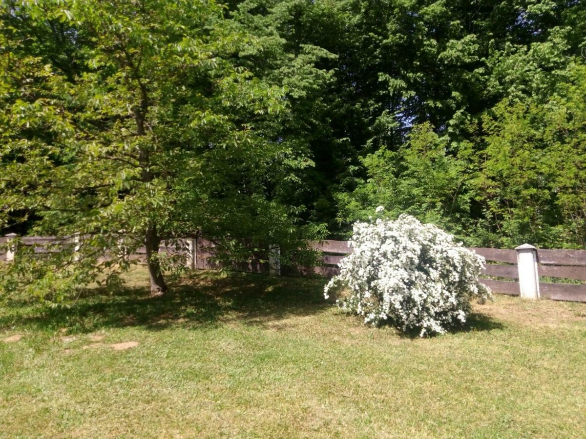 Kuca Za Odmor Mazuran Villa Karlovac Dış mekan fotoğraf